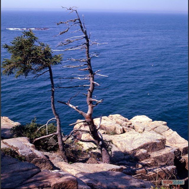 main-coast8