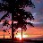 sunset with palms2