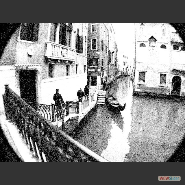 IMG_7446 copy