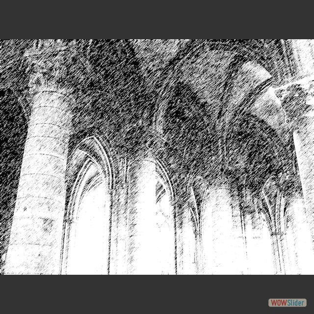 IMG_8272 copy