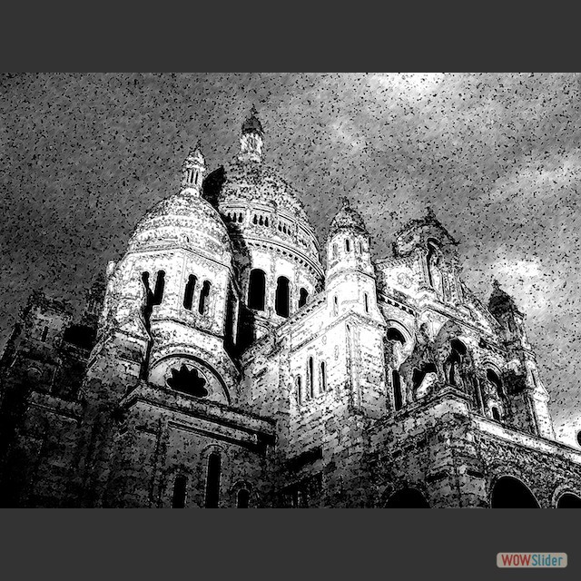 IMG_8516 copy