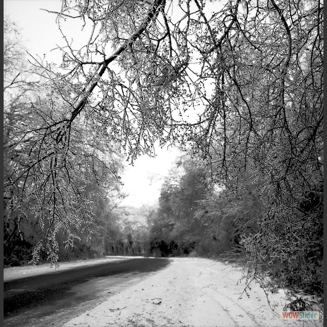 ice-storm-b&W