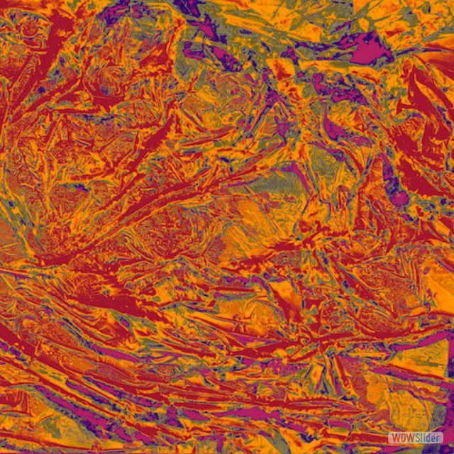Colored Photogram 2