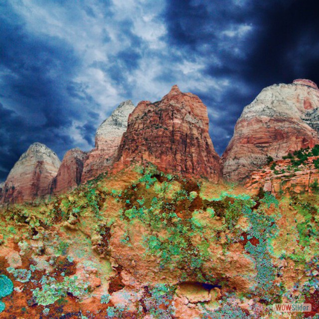 Zion road out-50