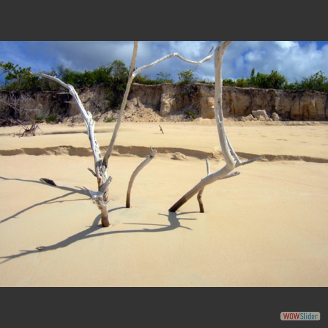 Barbuda-beach-last day009