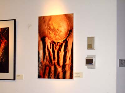 Brookdale juried show 2