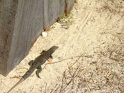 Melanie Heinrich - Travel Images - Caribbean