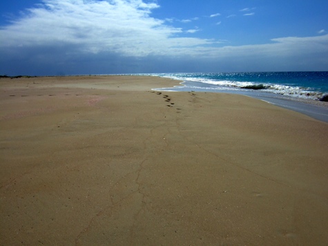 Melanie Heinrich - Travel Images - Barbuda