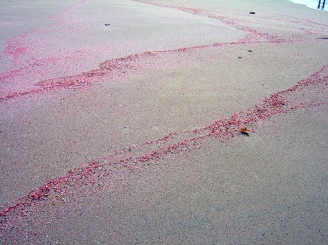 Melanie Heinrich - Travel Images - Barbuda