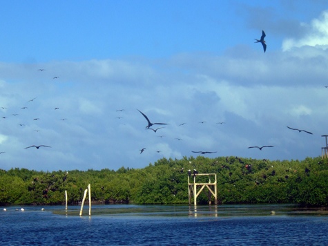 Melanie Heinrich - Travel Images - Barbuda