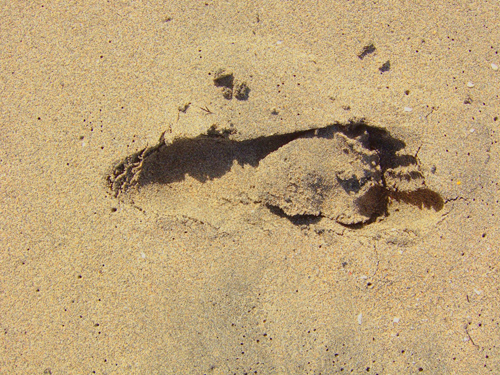 Melanie Heinrich - Travel Images - Nevis