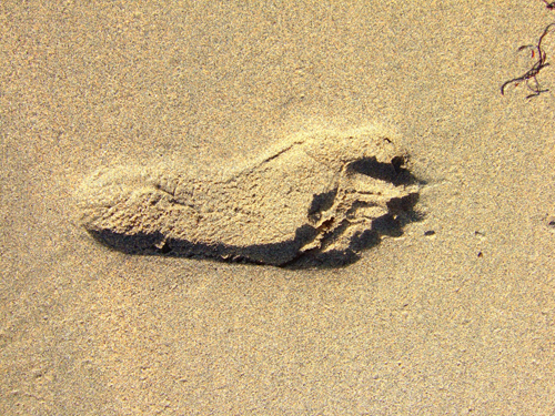 Melanie Heinrich - Travel Images - Nevis