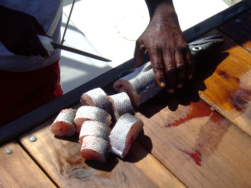 Melanie Heinrich - Travel Images - Nevis