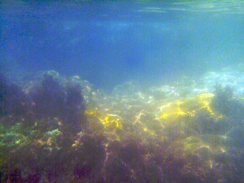 Melanie Heinrich - Travel Images - Nevis