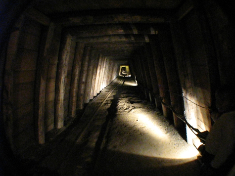 Melanie Heinrich Images