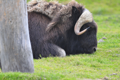 Melanie Heinrich Images