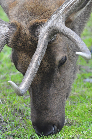 Melanie Heinrich Images