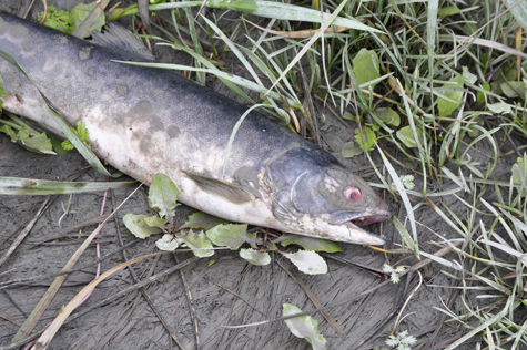 Melanie Heinrich Images