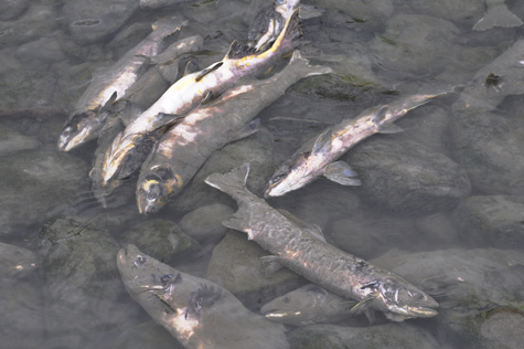 Melanie Heinrich Images