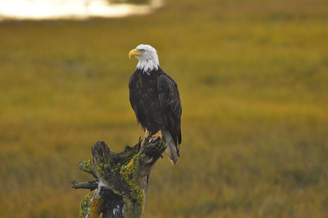 Melanie Heinrich Images