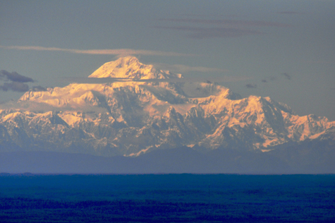 Melanie Heinrich Images