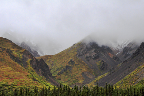Melanie Heinrich Images - Alaska - Denali