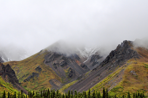 Melanie Heinrich Images - Alaska - Denali