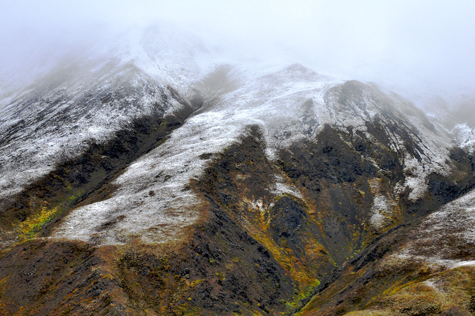 Melanie Heinrich Images - Alaska - Denali
