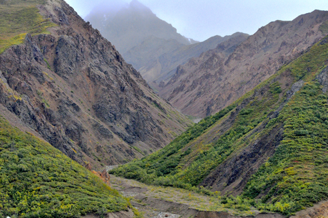 Melanie Heinrich Images - Alaska - Denali