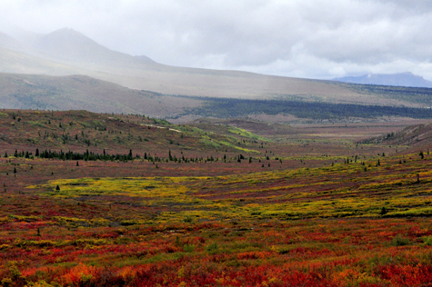 Melanie Heinrich Images - Alaska - Denali