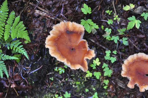 Melanie Heinrich Images - Alaska