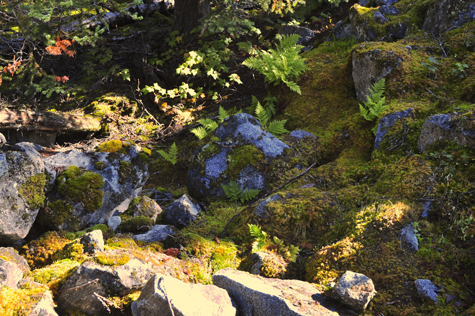 Melanie Heinrich Images - Alaska