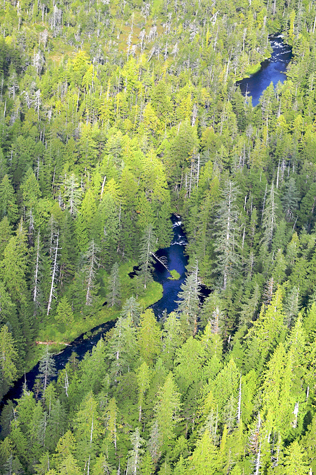 Melanie Heinrich Images - Alaska