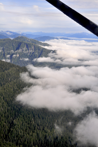 Melanie Heinrich Images - Alaska