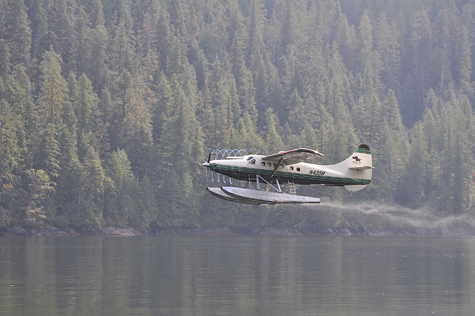 Melanie Heinrich Images - Alaska