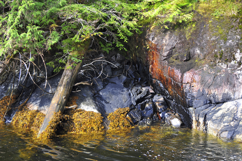 Melanie Heinrich Images - Alaska