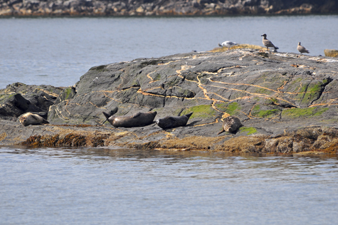 Melanie Heinrich Images - Alaska