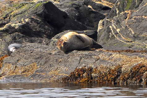 Melanie Heinrich Images - Alaska