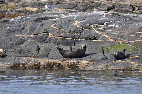 Melanie Heinrich Images - Alaska