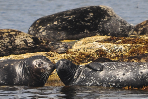 Melanie Heinrich Images - Alaska