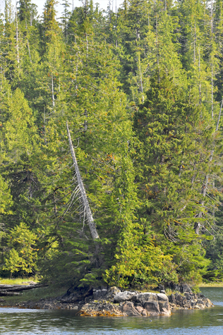 Melanie Heinrich Images - Alaska