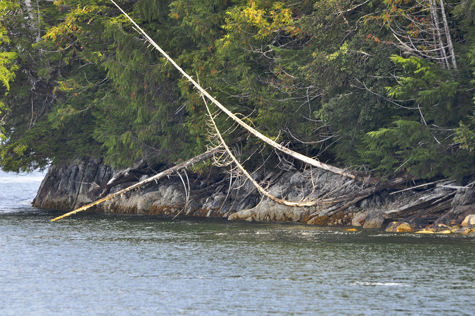 Melanie Heinrich Images - Alaska