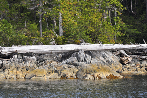 Melanie Heinrich Images - Alaska