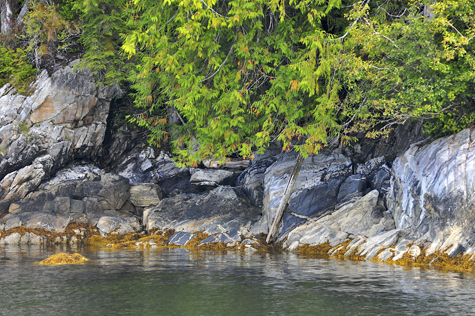 Melanie Heinrich Images - Alaska