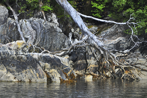 Melanie Heinrich Images - Alaska