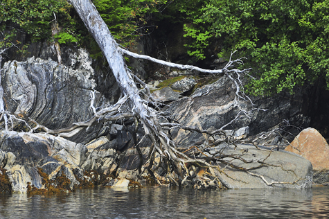 Melanie Heinrich Images - Alaska