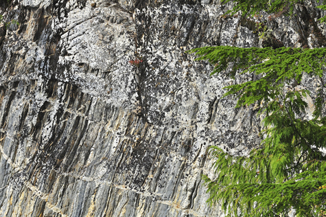 Melanie Heinrich Images - Alaska