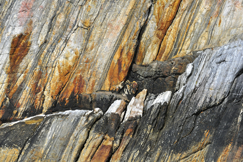 Melanie Heinrich Images - Alaska