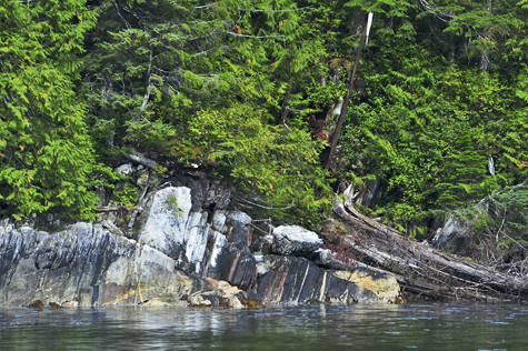 Melanie Heinrich Images - Alaska