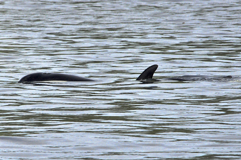 Melanie Heinrich Images - Alaska